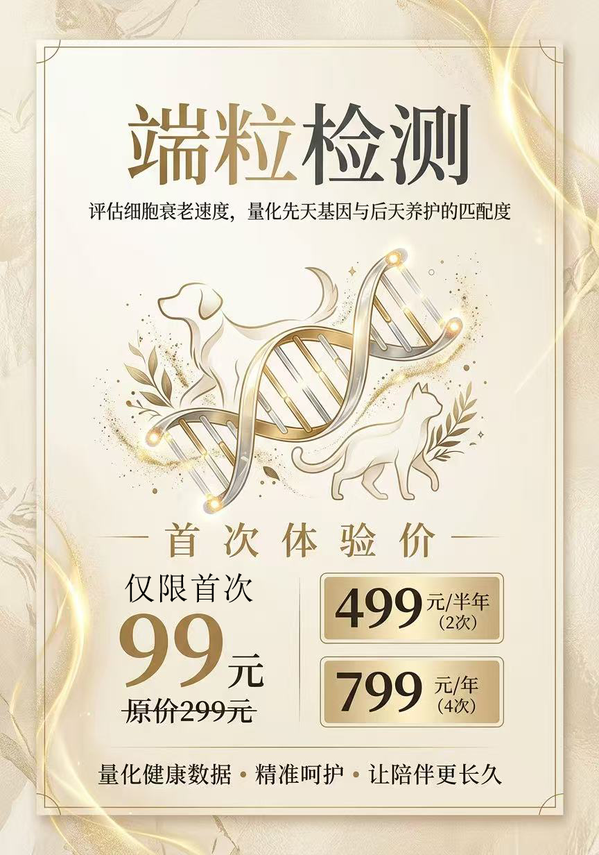 端粒检测台卡