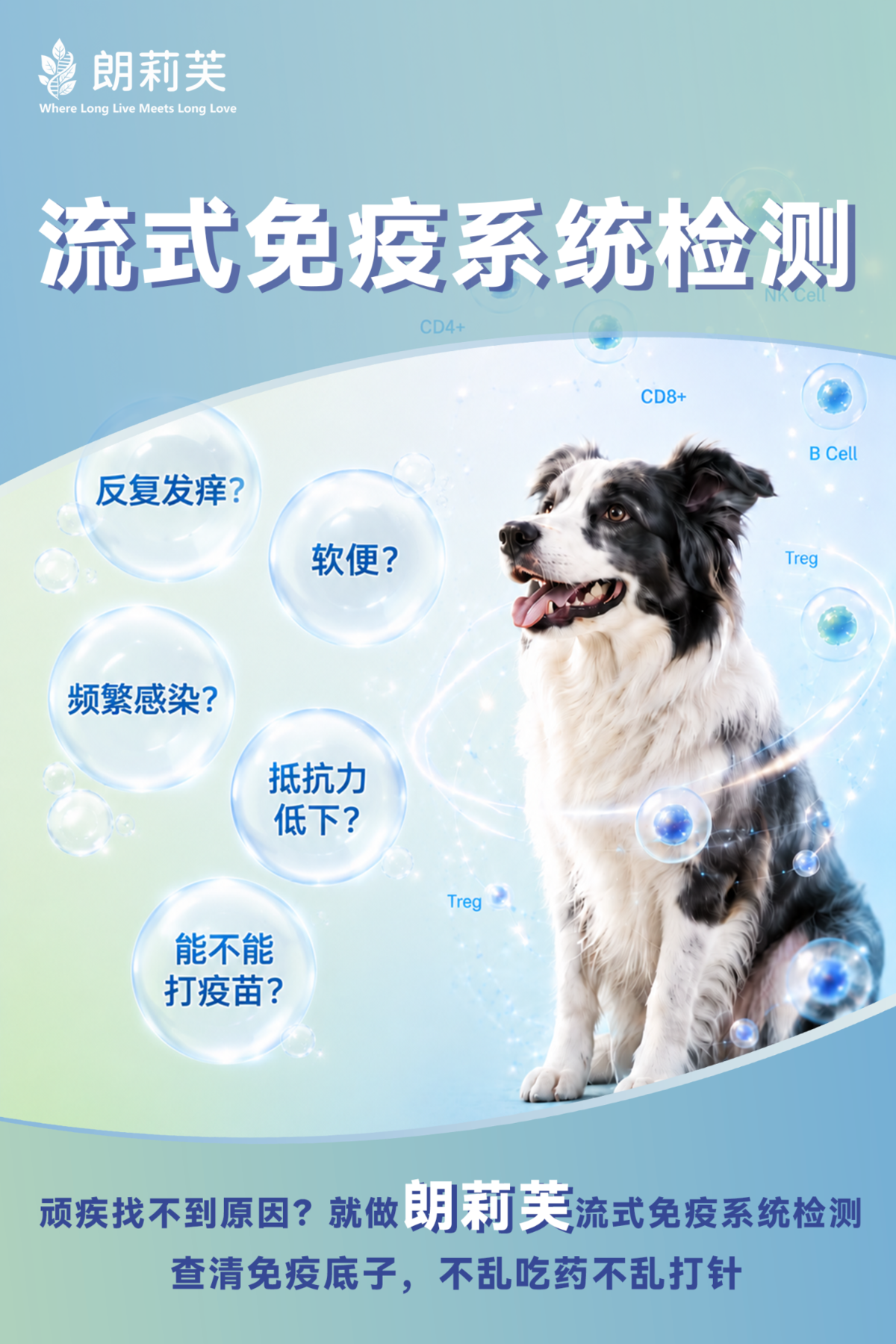 流式免疫DM封面