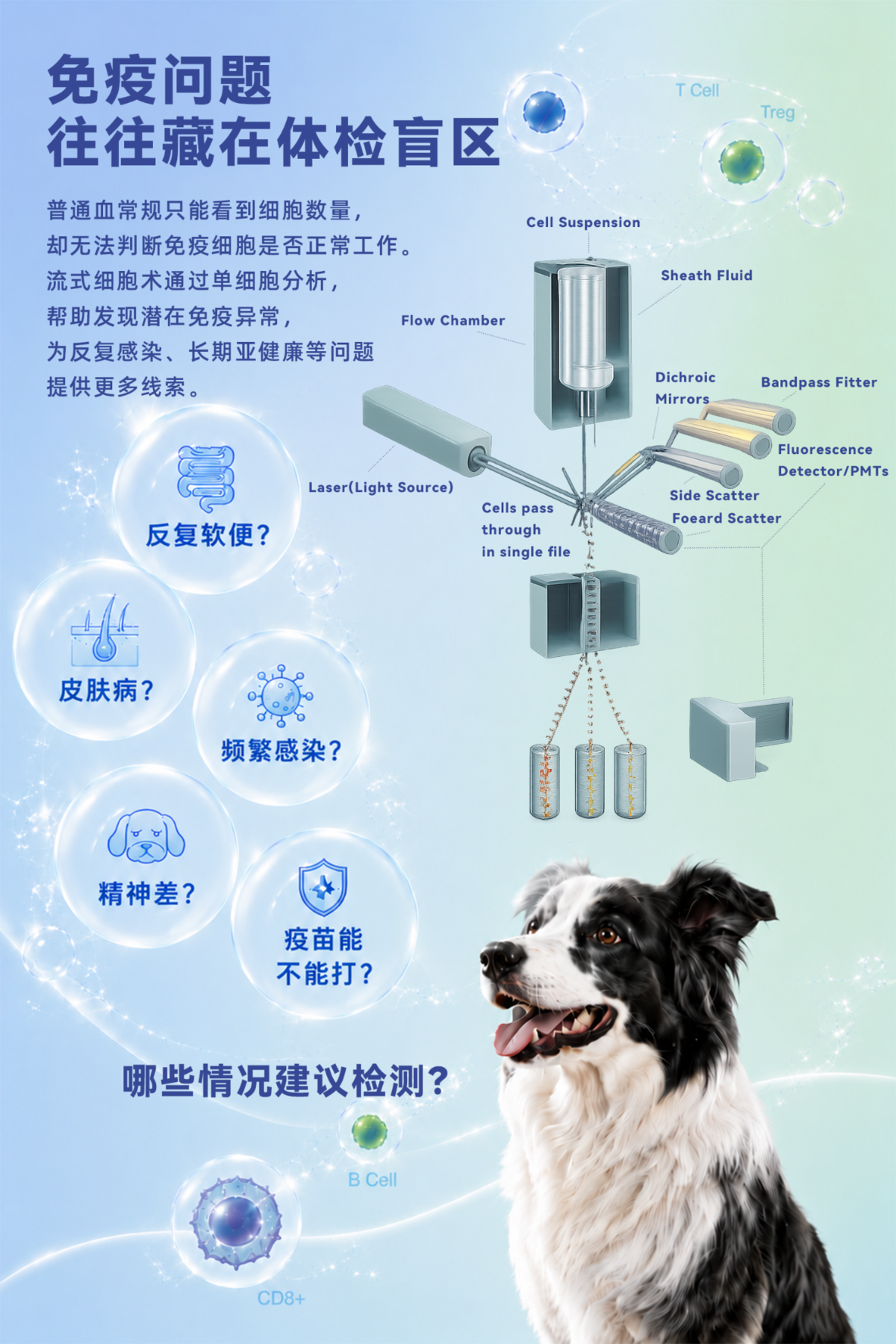 流式免疫DM左内页