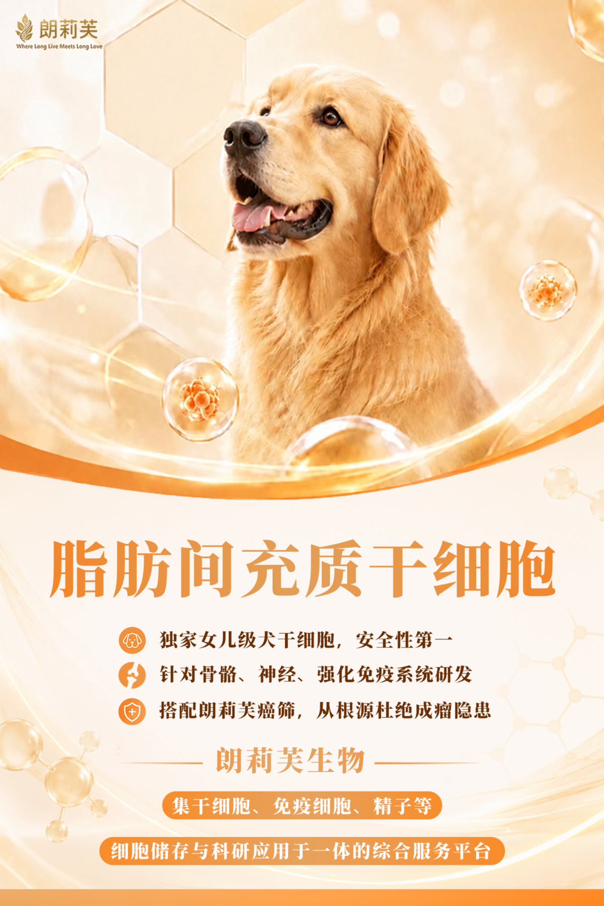 干细胞DM封面