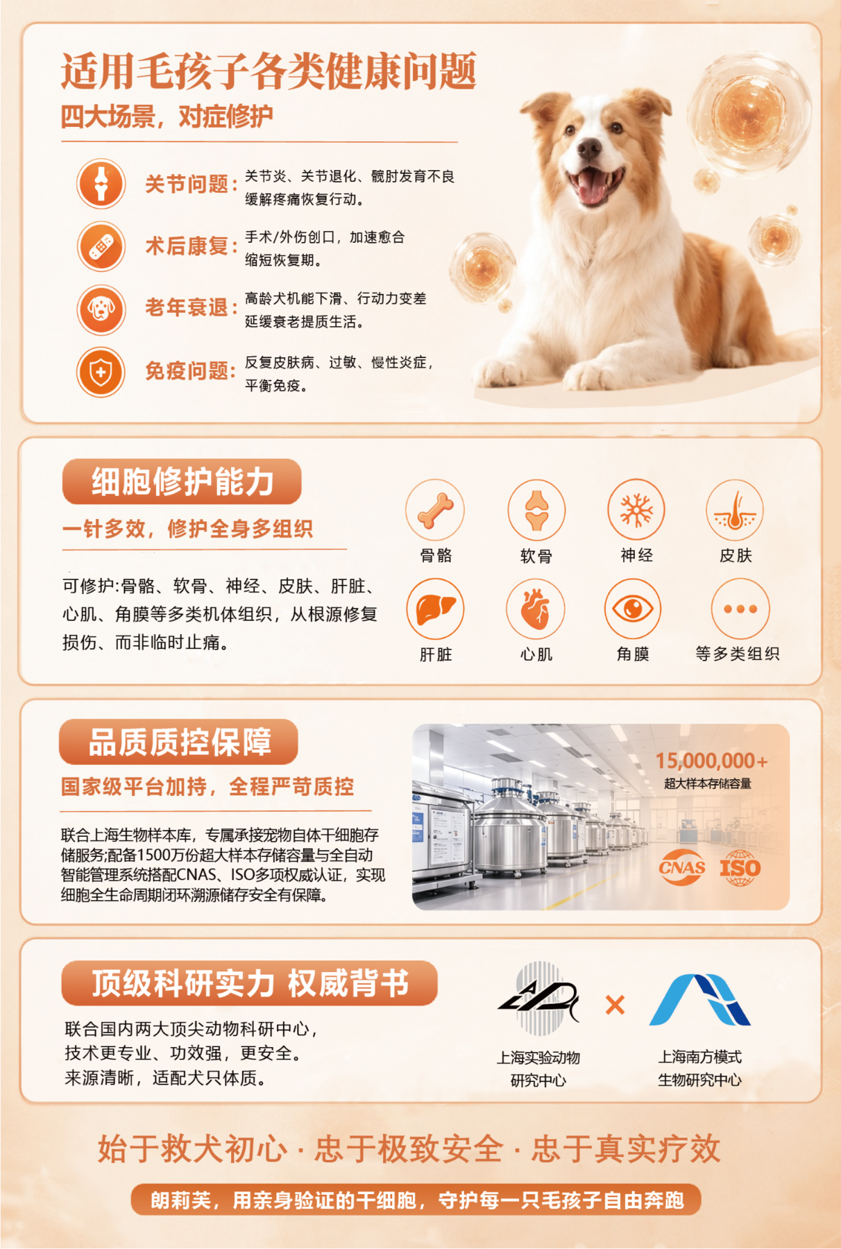 干细胞DM内页二