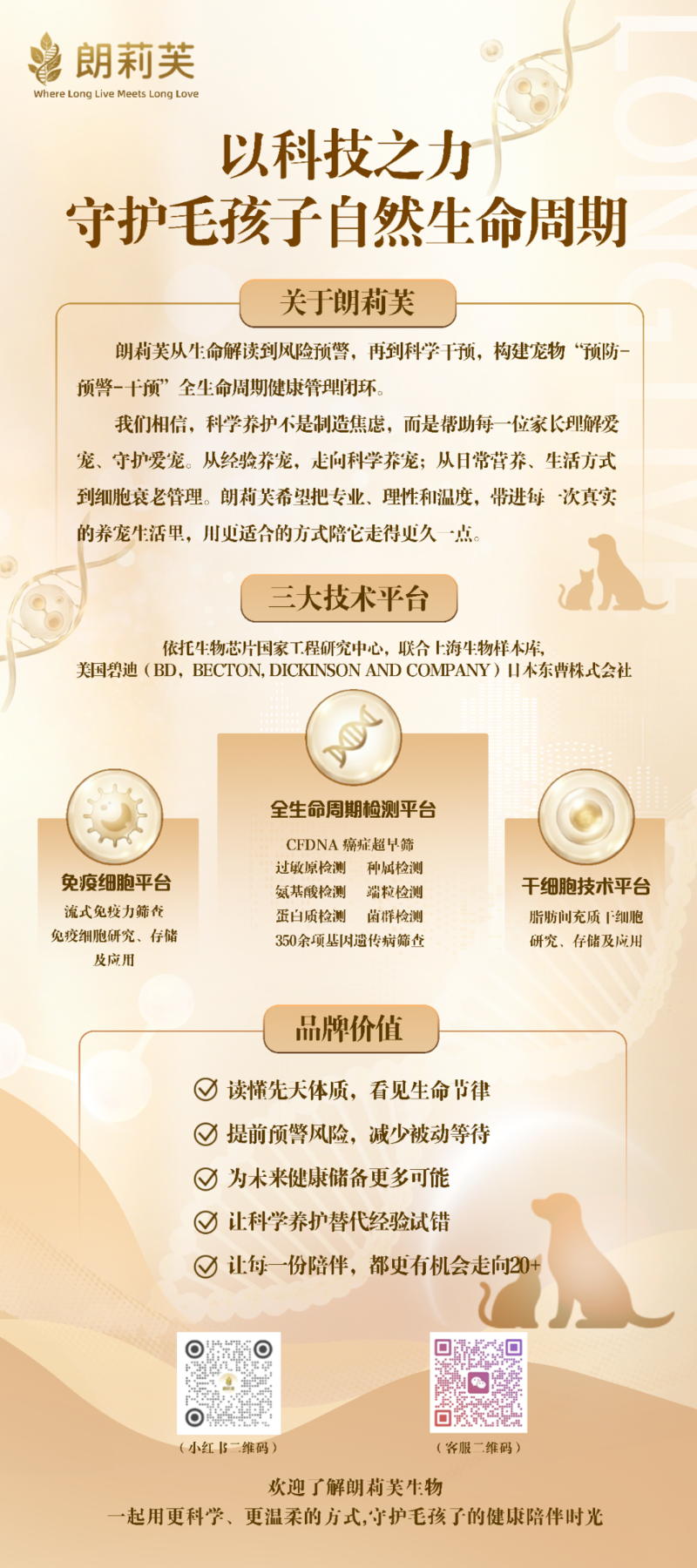 朗莉芙品牌介绍易拉宝