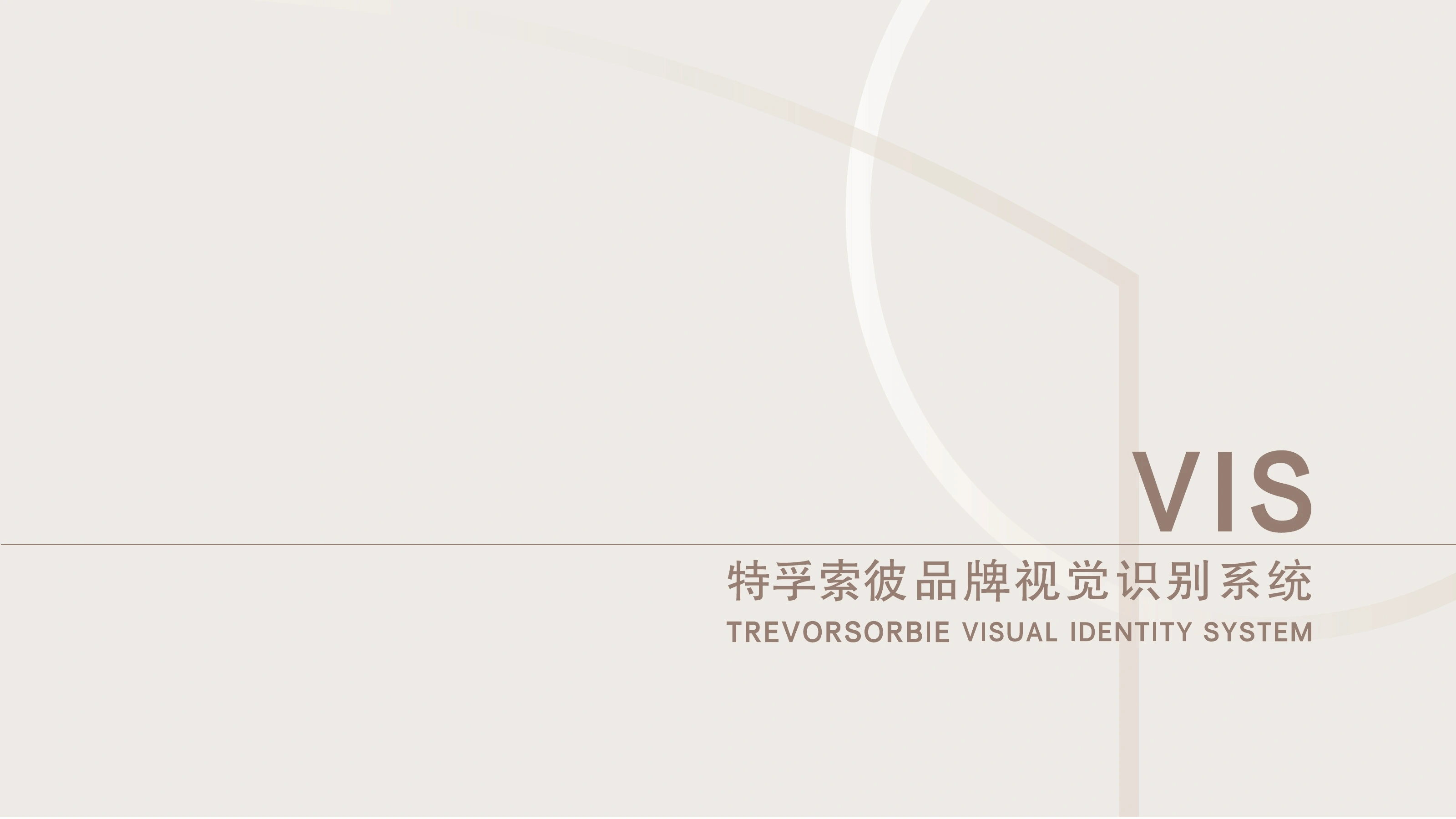 Trevor Sorbie VI系统手册封面